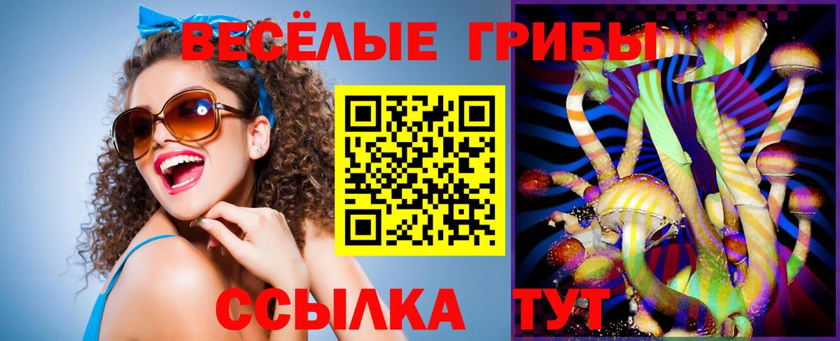 Галлюциногенные грибы Magic Shrooms  Галлюциногенные грибы Cubensis  Вход с VPN  Черногорск 